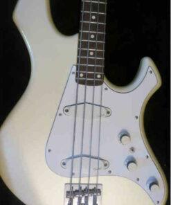 PG 3282: Performer Standard Bass Model FB-555