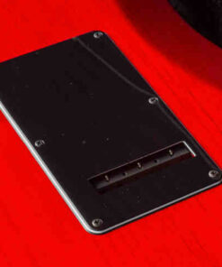 PG 7808: FRIEDMAN TREM BACKPLATE