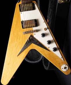 PG 8032: Hamer USA 2000 Vector