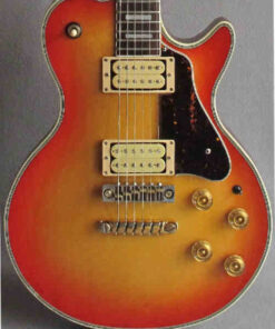 PG 23504: Ibanez PF350