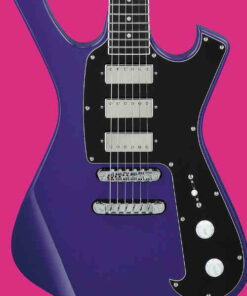 PG 3220: IBANEZ PGM FRM300