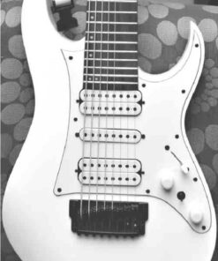 PG 3247: Ibanez TAM 10